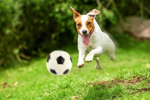 Piłka futbol Happet Z586 mix kolor 9cm Piłka futbol Happet Z586 mix kolor 9cm