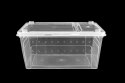 Pojemnik hodowlany BREEDING BOX 19 cm