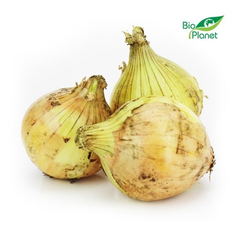 CEBULA ŻÓŁTA ŚWIEŻA BIO (POLSKA) (około 1,00 kg) CEBULA ŻÓŁTA ŚWIEŻA BIO (POLSKA) (około 1,00 kg)
