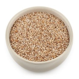 SEZAM BIAŁY NIEŁUSKANY BIO 500 g - THE PLANET