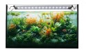 Lampa AquaLED Happet LB09 6W/26cm