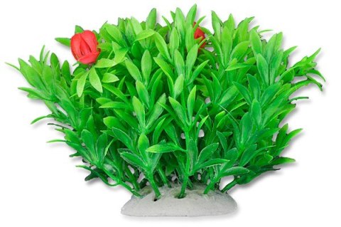 Roślina folia 10cm 1f02 Happet Roślina folia 10cm 1f02 Happet