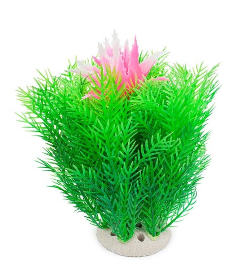 Roślina folia 10cm 1f12 Happet Roślina folia 10cm 1f12 Happet