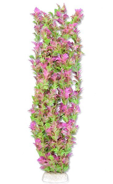 Roślina folia 65cm 6f36 Happet Roślina folia 65cm 6f36 Happet