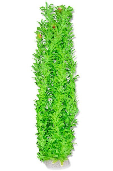 Roślina folia 65cm 6f37 Happet Roślina folia 65cm 6f37 Happet