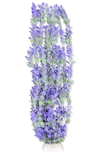 Roślina folia 65cm 6f40 Happet Roślina folia 65cm 6f40 Happet