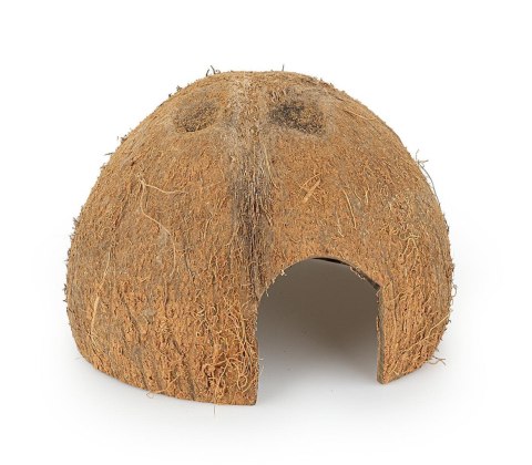 Skorupa kokosa Happet 1/2 nieszczotkowana 6 szt. Skorupa kokosa Happet 1/2 nieszczotkowana 6 szt.
